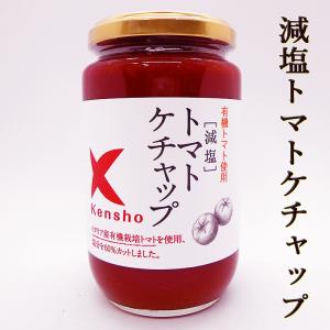 減塩トマトケチャップ 380ｇ プレミアム 自然派 塩分60％カット