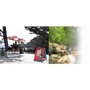 あす着く アイスクリン 1リットル×3個 高知...の詳細画像2