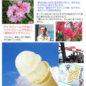 あす着く アイスクリン 1リットル×3個 高知...の詳細画像3