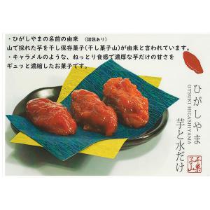 ひがしやま 東山 約100g×5個 送料無料 ...の詳細画像3