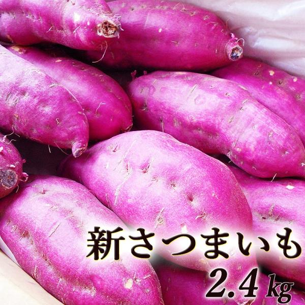 さつま芋 新さつまいも 2.4kg 高知産又は徳島産又は宮崎産 送料無料 土佐紅 鳴門金時 なると金...
