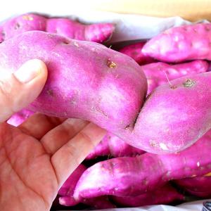 さつまいも 5kg わけあり 新さつまいも 約...の詳細画像2