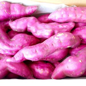 さつまいも 5kg わけあり 新さつまいも 約...の詳細画像3