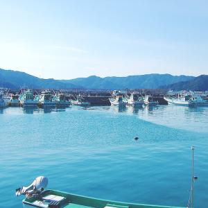蒲鉾セット ギフト 土佐湾の恵み 漁 高知産 ...の詳細画像2