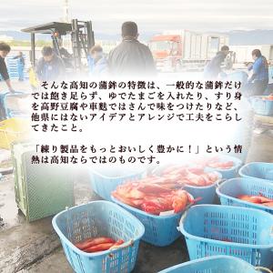 蒲鉾セット ギフト 土佐湾の恵み 漁 高知産 ...の詳細画像4