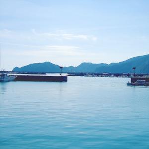 蒲鉾セット ギフト 土佐湾の恵み 夢 高知産 ...の詳細画像1