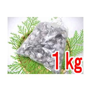 まいご マイゴ ながらみ ナガラミ 約1kg 国産 ボイル ご予約品 ダンベイキサゴ （KYF/TKBS)