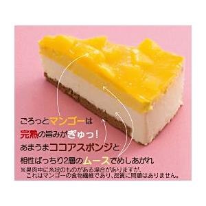 マンゴーレアチーズケーキ ６個入 約７５グラム 個 業務店 プロ御用達 冷凍ケーキ Hmy Rarecheesecake Mango01 旨い果物 魚のアグリファーム高知 通販 Yahoo ショッピング