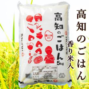 米 高知のごはん 5kg 香り米入 令和2年産 高知産 期間限定 国産 精米 お米 こめ 白米 ご飯 ごはん アミロース おにぎり プレゼント 産地直送