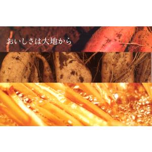 いもけんぴ 塩けんぴ 105g×10袋 国産 ...の詳細画像4