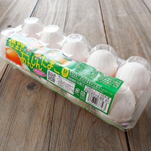 卵 たまご １０玉セット 高知産 エッグメール 新鮮