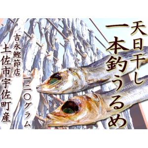 一本釣りうるめ 天日干し 約120グラム（5〜7尾ほど）特上品 吉永鰹節店の完全手づくり 土佐市宇佐町産｜chokuhan