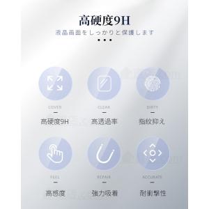 2枚セット ガーミン GARMIN Forer...の詳細画像1