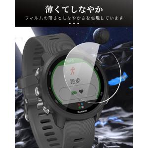 2枚セット ガーミン GARMIN Forer...の詳細画像2