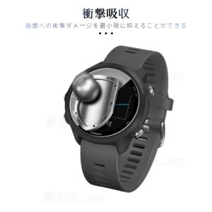 2枚セット ガーミン GARMIN Forer...の詳細画像3