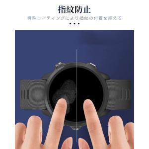 2枚セット ガーミン GARMIN Forer...の詳細画像4