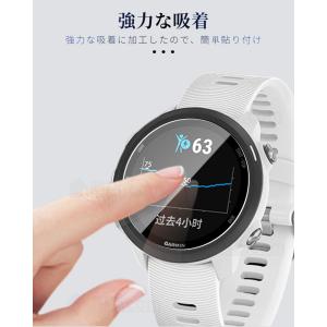 2枚セット ガーミン GARMIN Forer...の詳細画像5