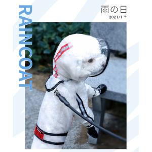 【中/小型犬】クリアレインコート レインポンチ...の詳細画像1