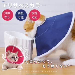 VetSolution 猫用 腎臓サポート 2kg Monge 療法食 腎臓病 疾患 Vet
