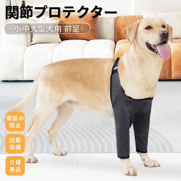 小中大型犬用膝サポーター 犬用関節プロテクター 前足プロテクター 関節保護固定 リハビリ 肘当てリハ...