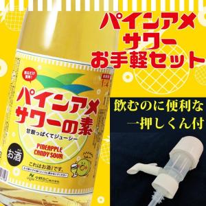サントリー バイオレットフィズ 600ml リキュール 14度 正規品 箱なし