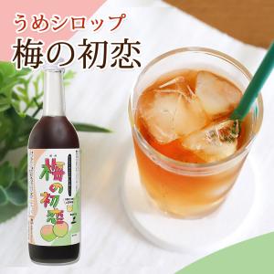 カルディ 梅エードベース 国産梅果汁使用 500ml×3本 梅 ウメ うめ