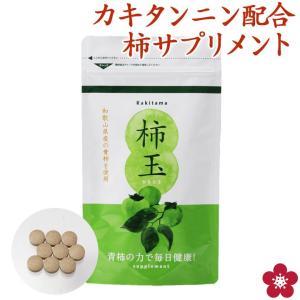 DAIYAMOND LIFE/ダイヤモンドライフ DAIYAMOND11 15包 期限2026年9月