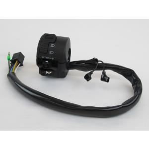 カワサキ（Kawasaki） ☆KAWASAKI 純正type ウィンカー！【フロント1個