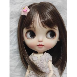 アイシーぬいぐるみは多肉で化粧直しをしています。