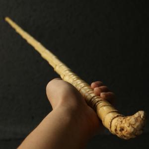 逸品作り天然十数年余り釘付け老羅漢竹杖竹節杖手棒竹根の詳細画像4