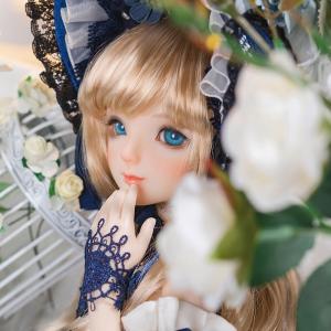 リンドール戒の人形4点アリス01ドリームワンダ...の詳細画像3