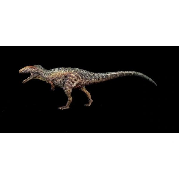 1/35 サイズ カルカロドントサウルス 肉食 恐竜 リアル 科学 フィギュア PVC プラモデル