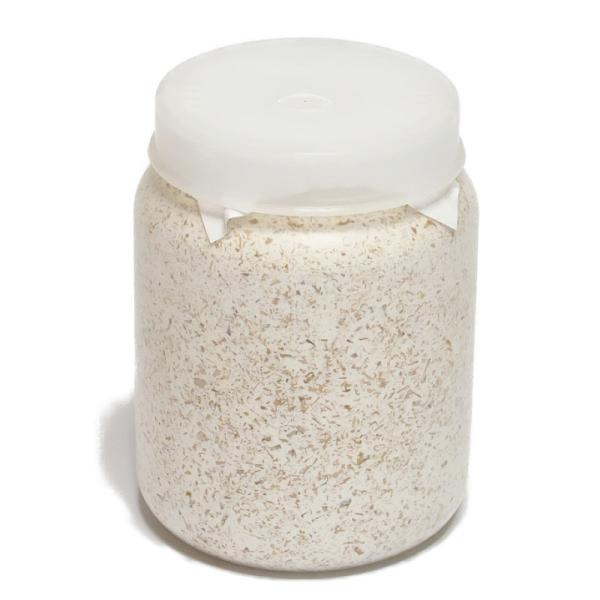 菌糸ビン　オオヒラタケ　CS菌糸800cc　オオクワガタ用