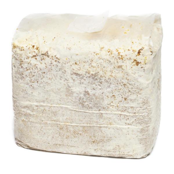 菌糸ブロック　詰め替え用　ＣＳ菌糸ブロック3.5L　オオクワガタ用