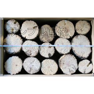 ハウス3年物クヌギ産卵木　箱売り30本前後入っています。