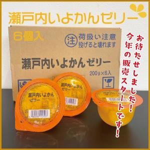 瀬戸内いよかんゼリー　6個　山口　お土産　人気　｜choshuen-y