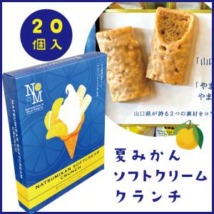 夏みかんソフトクリームクランチ　20個入り　寿堂　山口　お土産　きらら牛乳　やまぐち県酪｜choshuen-y