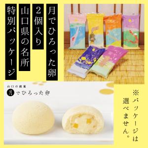 令和6年産新米！】山口県産コシヒカリ 3kg こしひかり 単一原料米