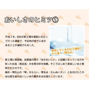 月でひろった卵 2個入り 山口銘菓 お土産 人気の詳細画像1