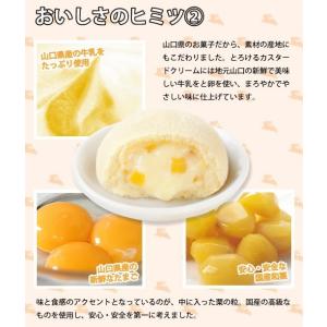 月でひろった卵 2個入り 山口銘菓 お土産 人気の詳細画像2