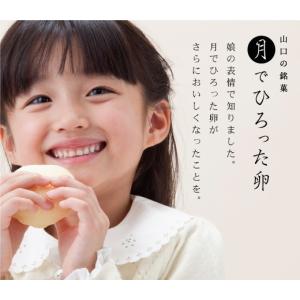月でひろった卵 2個入り 山口銘菓 お土産 人気の詳細画像4