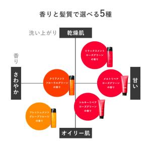 イオ ルベル シャンプー トリートメント セッ...の詳細画像3