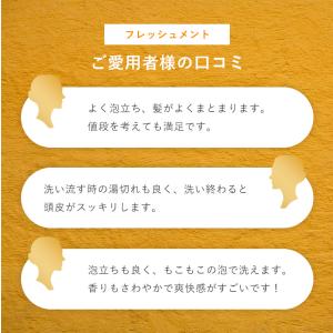 イオ ルベル シャンプー トリートメント セッ...の詳細画像5