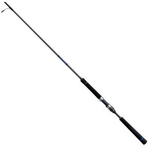 DAIWA（ダイワ） 18フリームス LT3000S−CXH ／スピニング