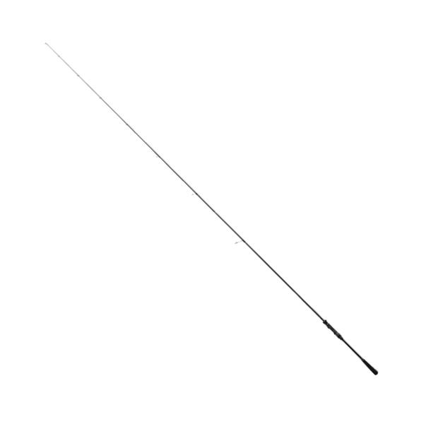 （21年4月新商品） テイルウォーク（tail walk） マイクロショアジギング SSD 96 （...