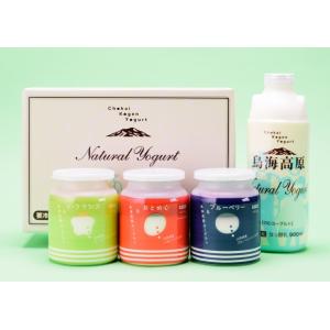 ⭐︎あおはるさま専用⭐︎ヨギニーフード1箱　21袋 LAVAヨギーニフード1箱21袋 【公式通販】