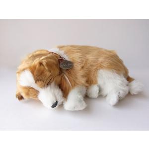 本物そっくりに眠る犬のぬいぐるみ｜パーフェクトペット｜シェルティ