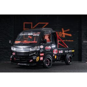 ハイゼットトラック S500P/S510P 後期 アイライン グランツ Butterfly