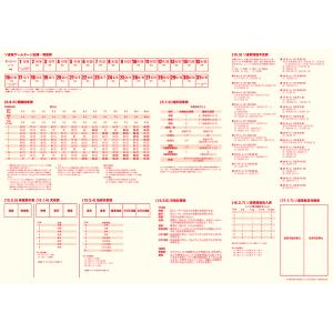 SPI オペレーション・タイフーン日本語版の詳細画像4