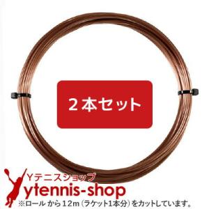 【12mカット品】ルキシロン エレメント｜1.25mm x２本セット